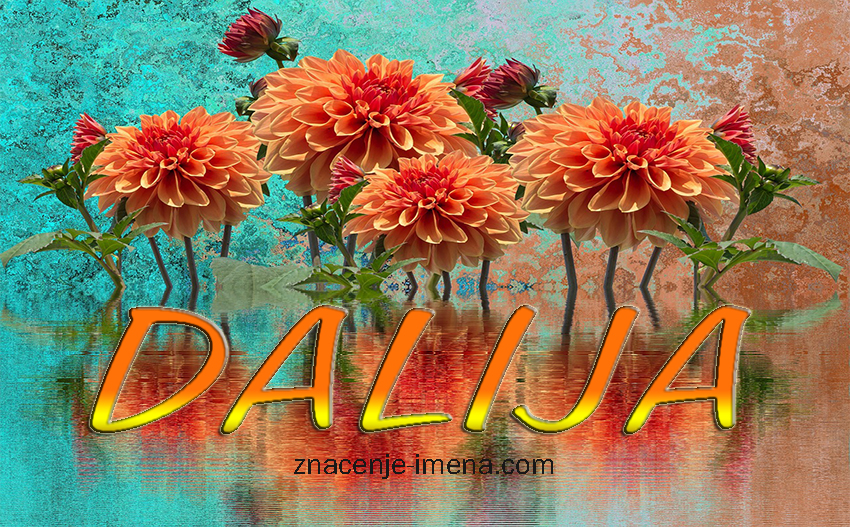 Ime Dalija slika