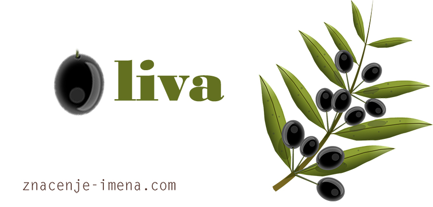 Značenje imena Oliva
