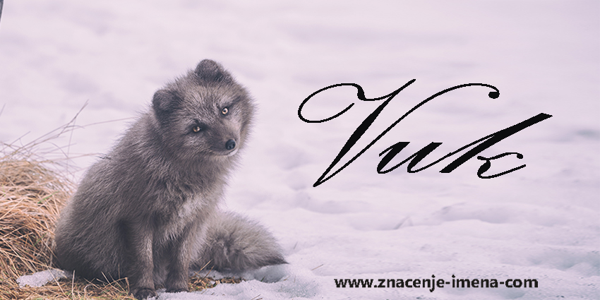 Značenje imena Vuk
